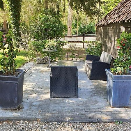 Midden In De Friese Bossen Op Landgoed Princenhof Oranjewoud Zewnętrze zdjęcie