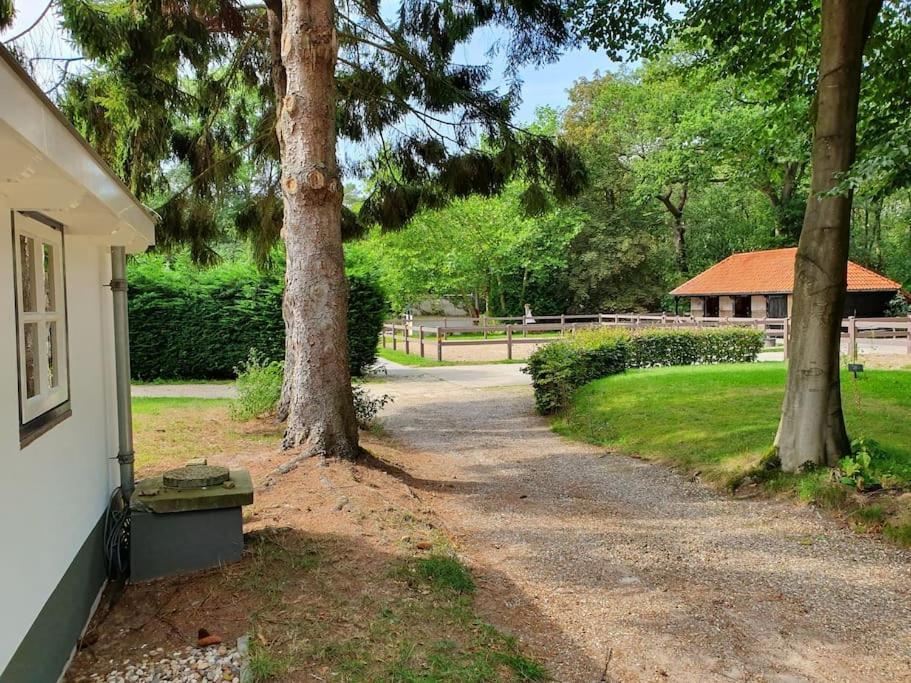 Midden In De Friese Bossen Op Landgoed Princenhof Oranjewoud Zewnętrze zdjęcie