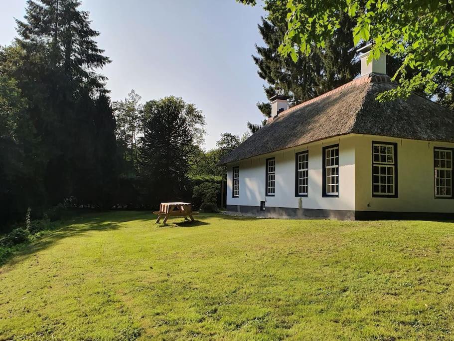 Midden In De Friese Bossen Op Landgoed Princenhof Oranjewoud Zewnętrze zdjęcie