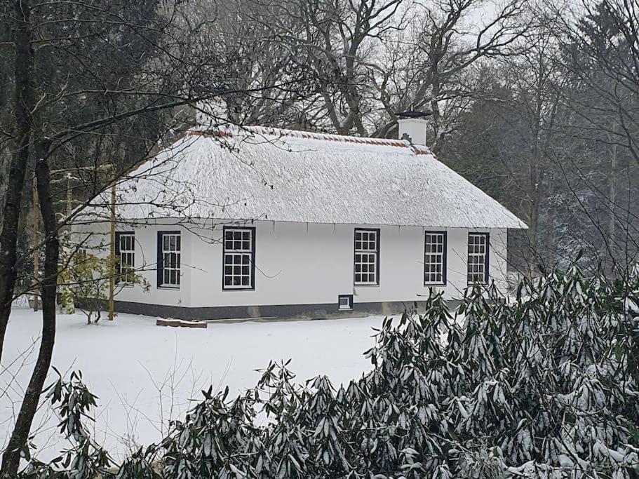 Midden In De Friese Bossen Op Landgoed Princenhof Oranjewoud Zewnętrze zdjęcie