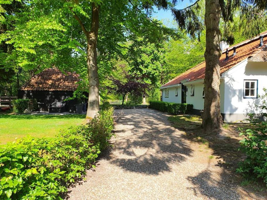 Midden In De Friese Bossen Op Landgoed Princenhof Oranjewoud Zewnętrze zdjęcie
