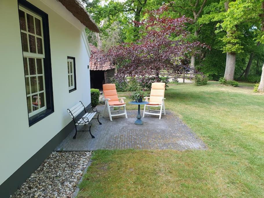 Midden In De Friese Bossen Op Landgoed Princenhof Oranjewoud Zewnętrze zdjęcie