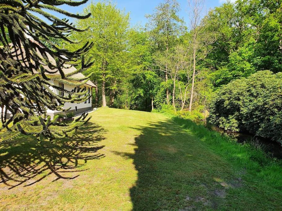 Midden In De Friese Bossen Op Landgoed Princenhof Oranjewoud Zewnętrze zdjęcie