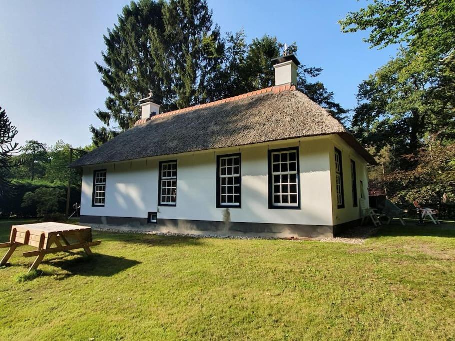 Midden In De Friese Bossen Op Landgoed Princenhof Oranjewoud Zewnętrze zdjęcie