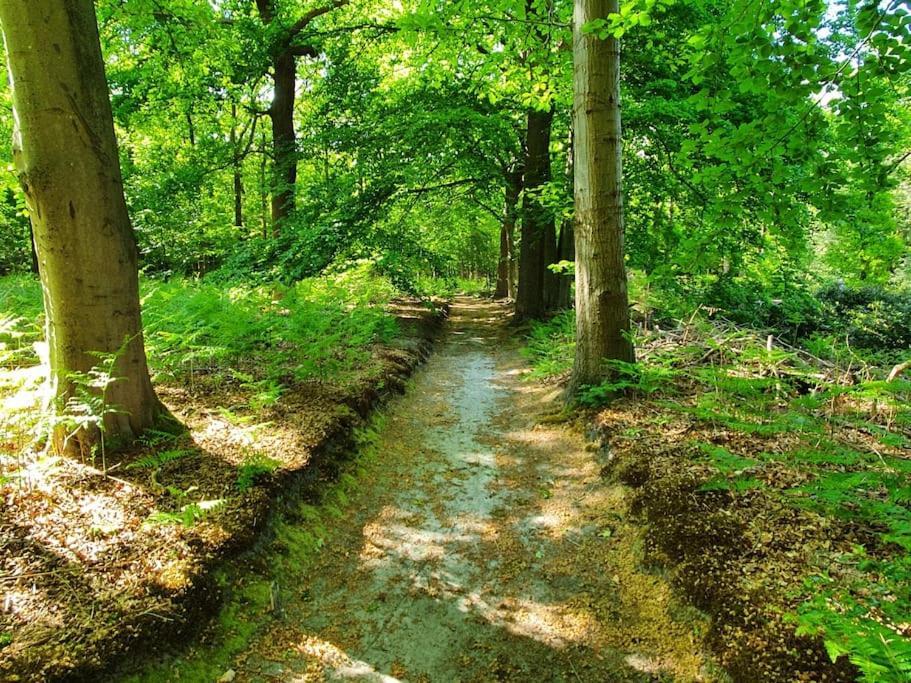 Midden In De Friese Bossen Op Landgoed Princenhof Oranjewoud Zewnętrze zdjęcie